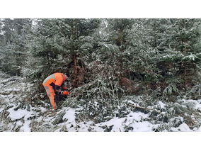 Es weihnachtet in St. Crescentius (Foto: Karl-Franz Thiede)